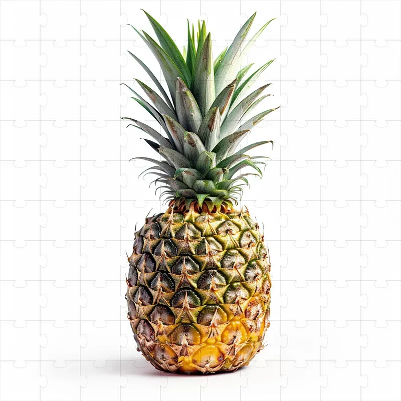 Fruits Stock Photos Food Photographs