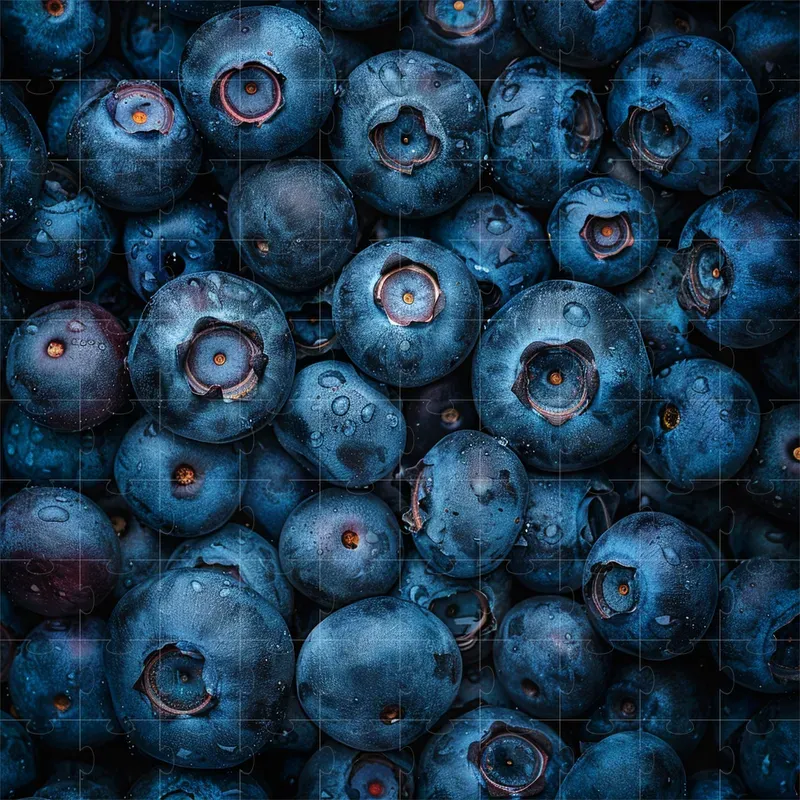 Food Close Up High Quality Stock Photos