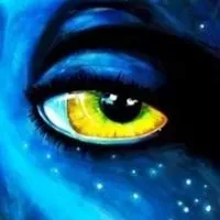 iseeeyou profile picture