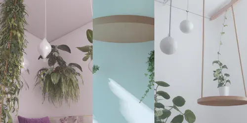 Cozy Interior Designs With Plants generated by dalle