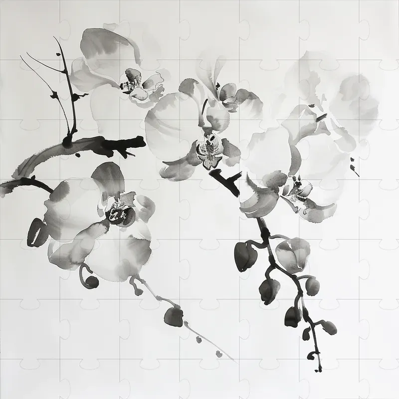 Chinese Ink Paintings