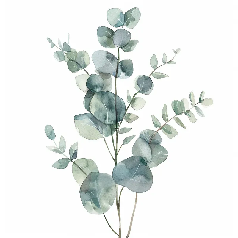 Watercolor Plant Illustrations Wallart