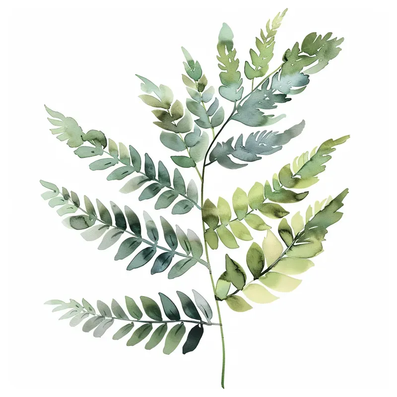 Watercolor Plant Illustrations Wallart