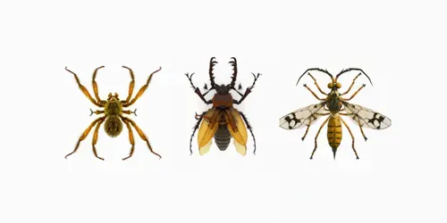 Scary Insects generated by dalle
