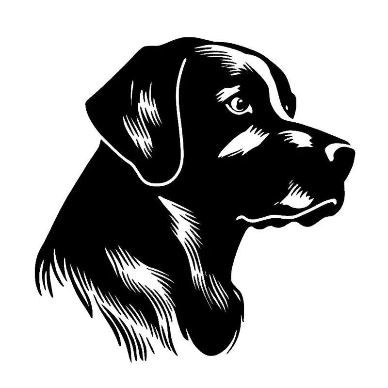 Cricut Machine Decal Designs