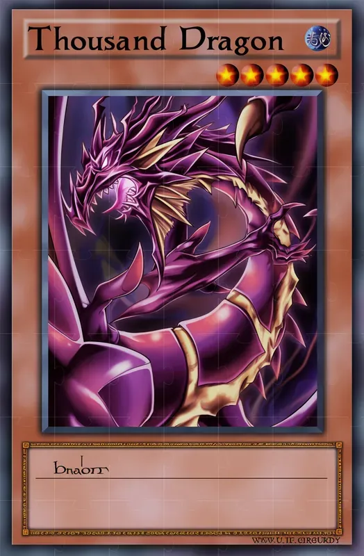 Yugioh Card Monster Types