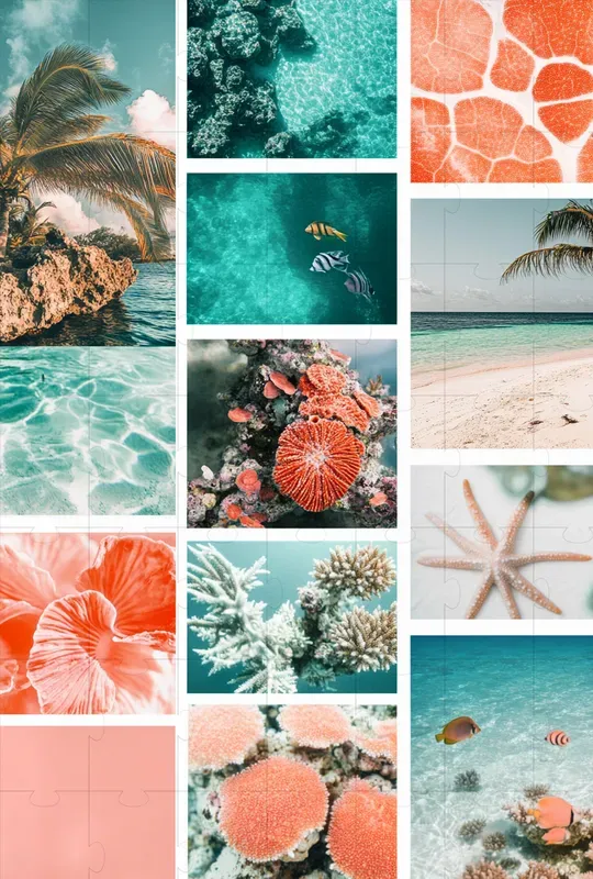 Moodboards