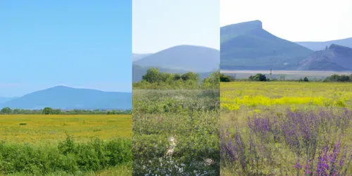 Spring Landscapes generated by dalle