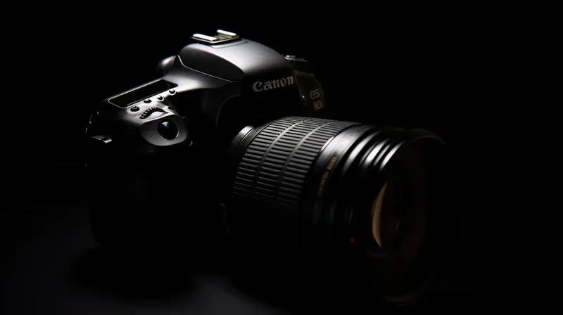 Rim Light Photographs