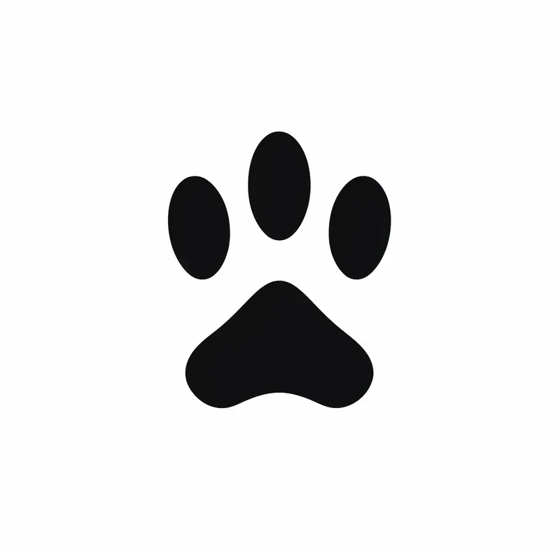 Small Tattoo Designs Minimal Black Art