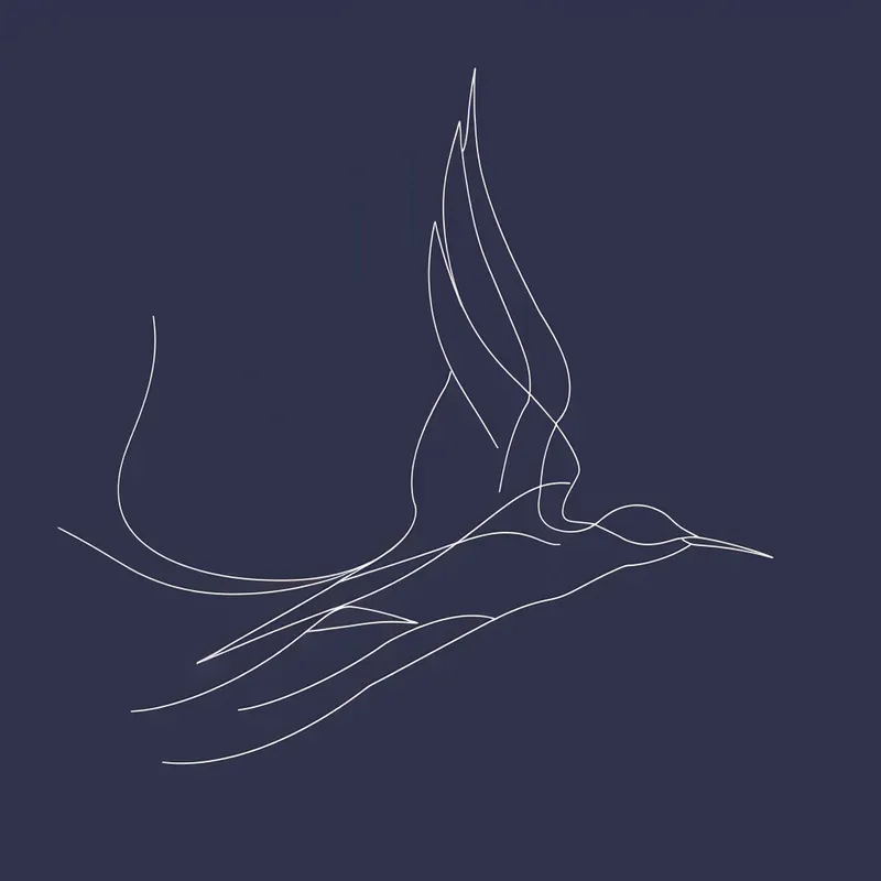 White Line Minimalistic Illustrations