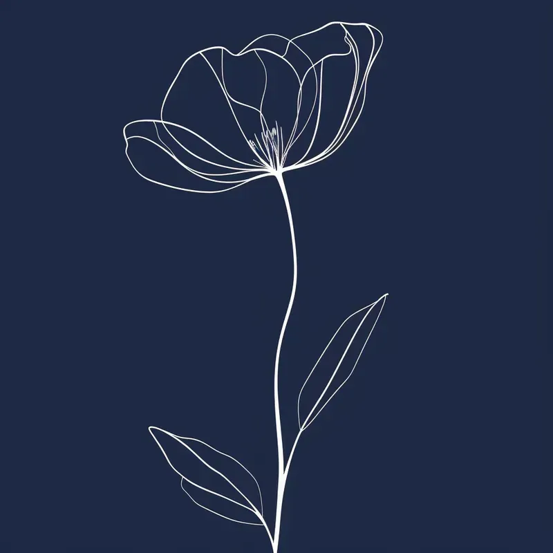 White Line Minimalistic Illustrations