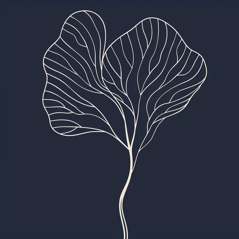 White Line Minimalistic Illustrations