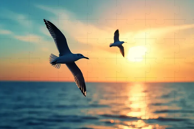 Wild Geometry Seascapes