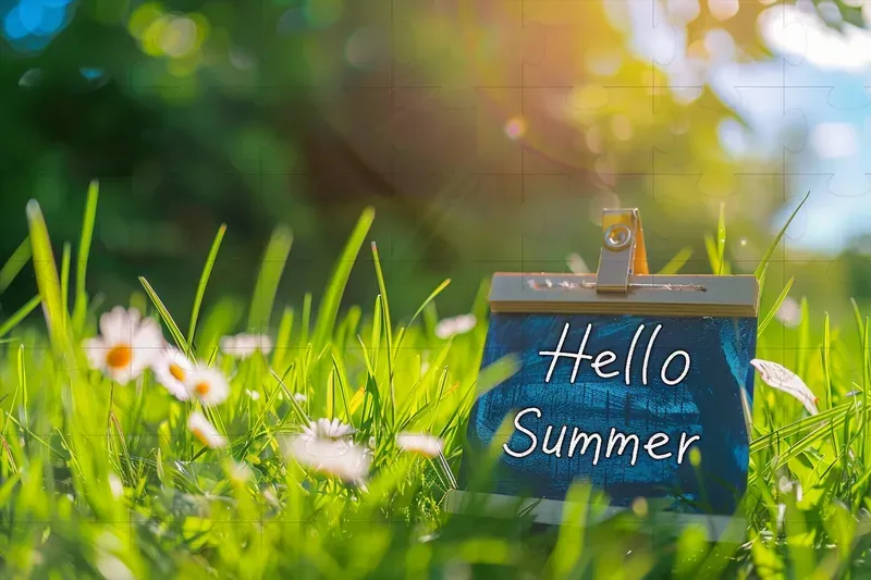 Seasonal Marketing Backgrounds