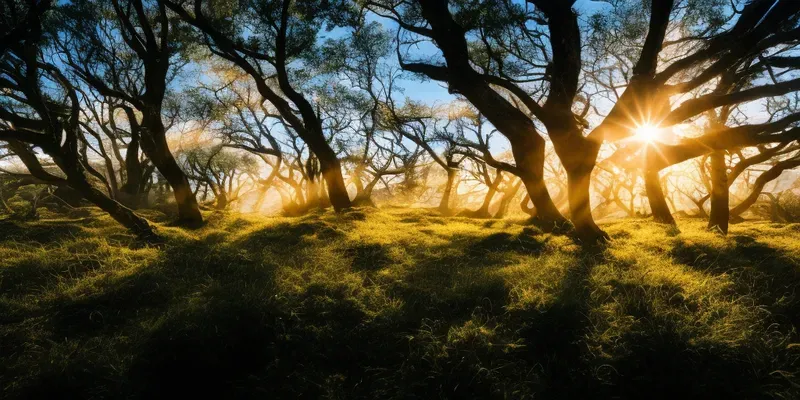 Landscape Photography Compilations