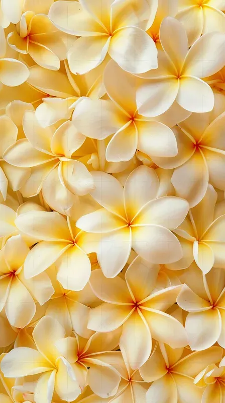 Seamless Flower Pattern Backgrounds