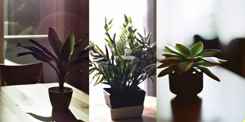 Photos Of Houseplants generated by undefined