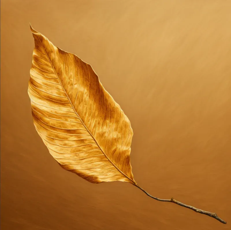 Minimalist Leaves On Plain Backgrounds
