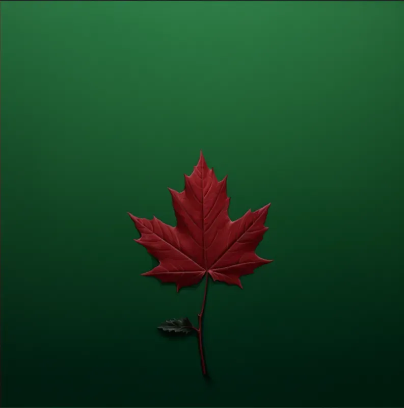 Minimalist Leaves On Plain Backgrounds
