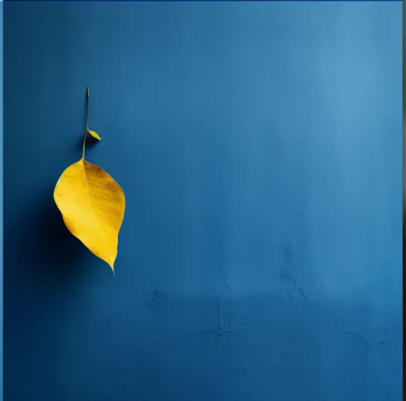 Minimalist Leaves On Plain Backgrounds