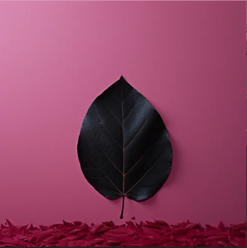 Minimalist Leaves On Plain Backgrounds