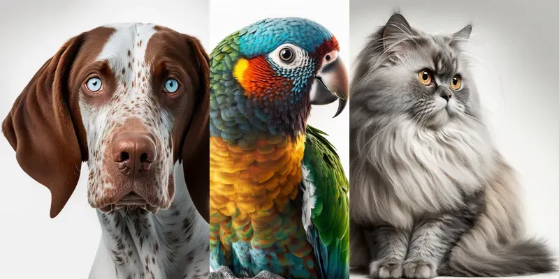 Graceful Animals generated by undefined
