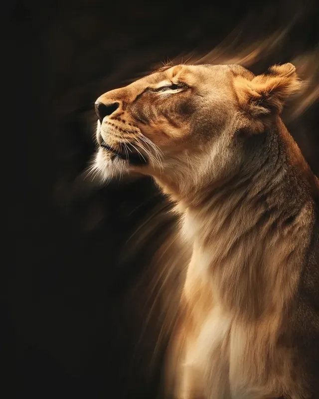 Kinetic Motion Blur Photography
