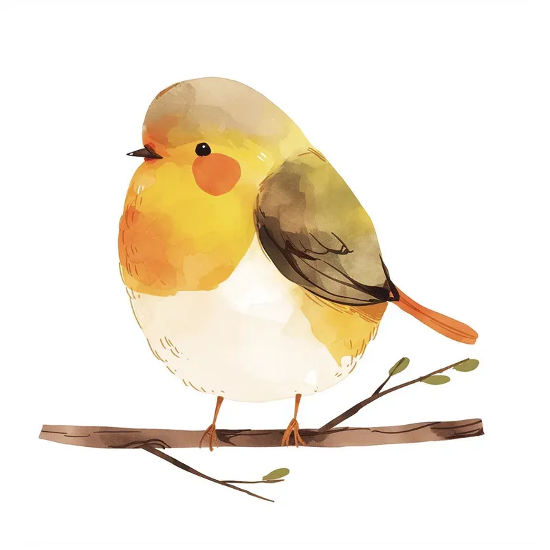 Children Books Animal Illustrations