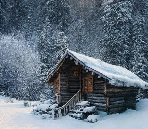 Winter Huts