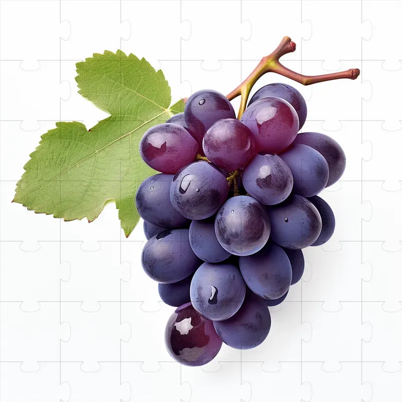 Fruits Realistic Closeup Photographs