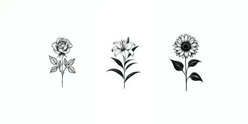 Elegant Simplicities generated by dalle