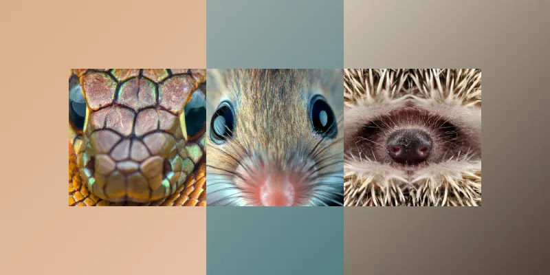 Extreme Close-ups Of Animals generated by undefined