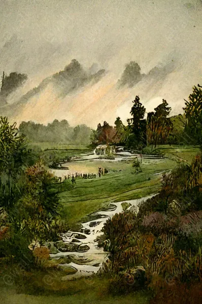 Forest Meadows