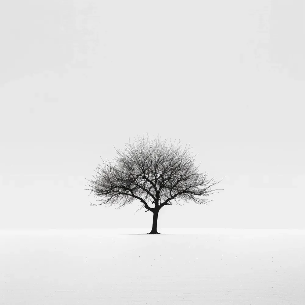 Stunning Black And White Poster Prints Midjourney Prompt | PromptBase