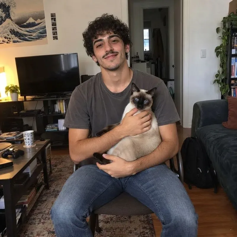 Cats In Your Arms