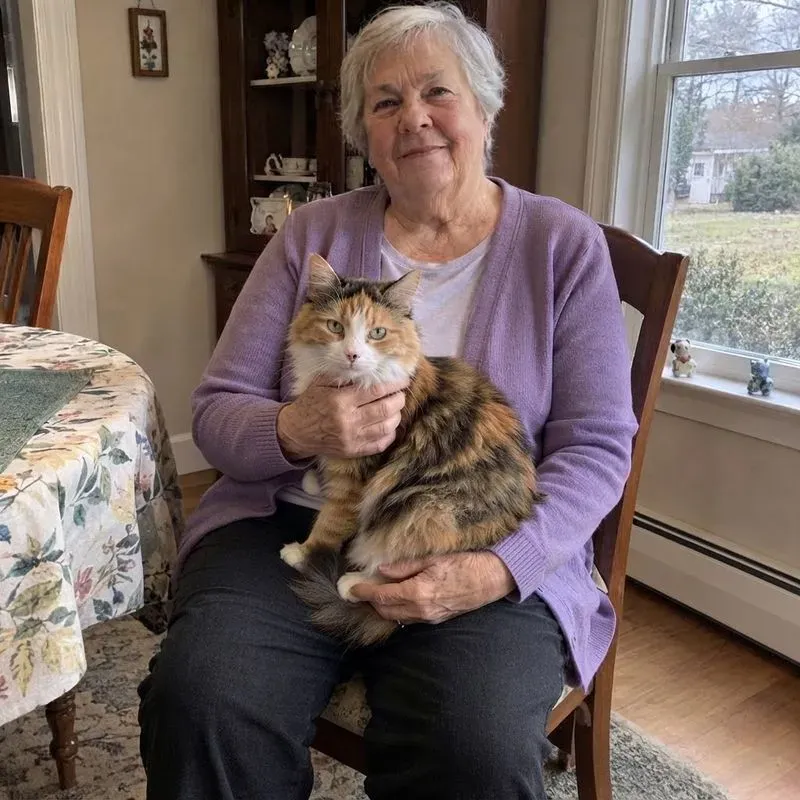 Cats In Your Arms