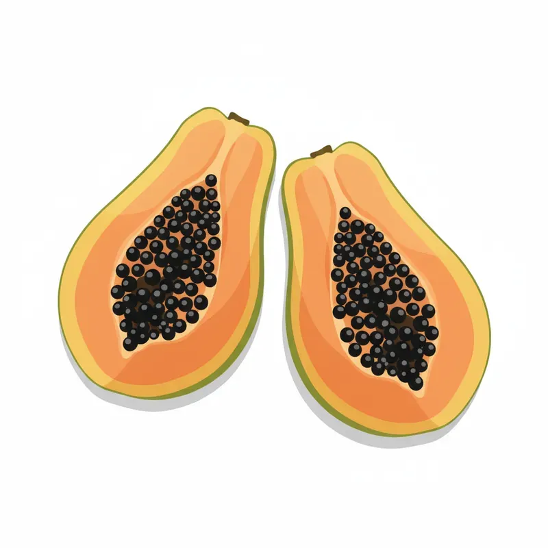 Clean Vector Illustrations