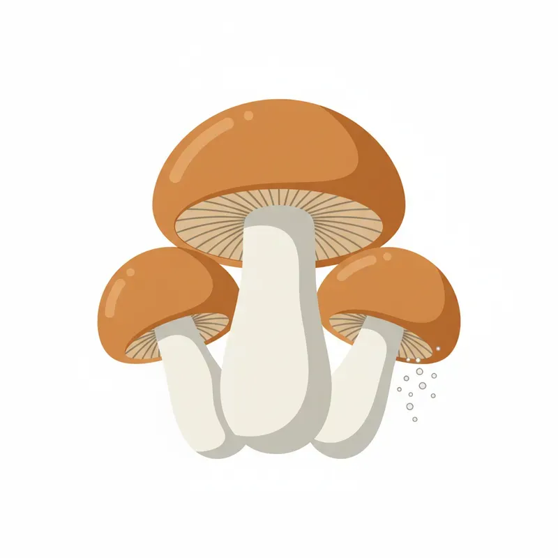 Clean Vector Illustrations