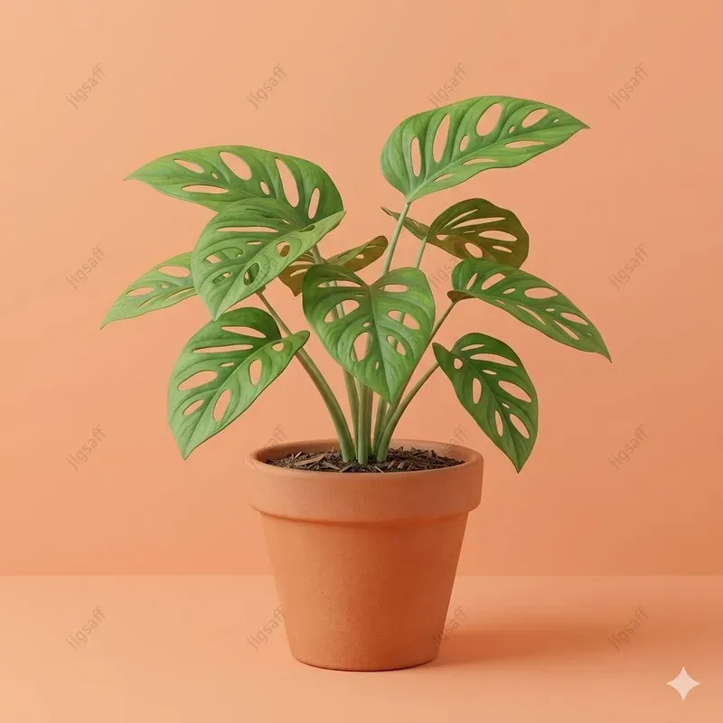Minimalist 3D Clay Potted Plants