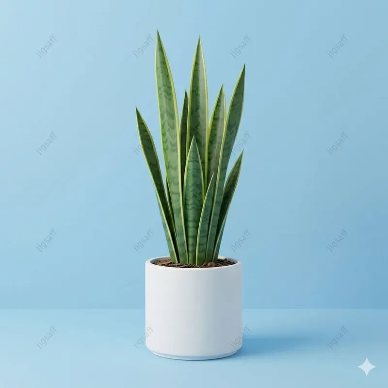 Minimalist 3D Clay Potted Plants