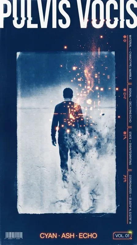 Editorial Datadesign Posters