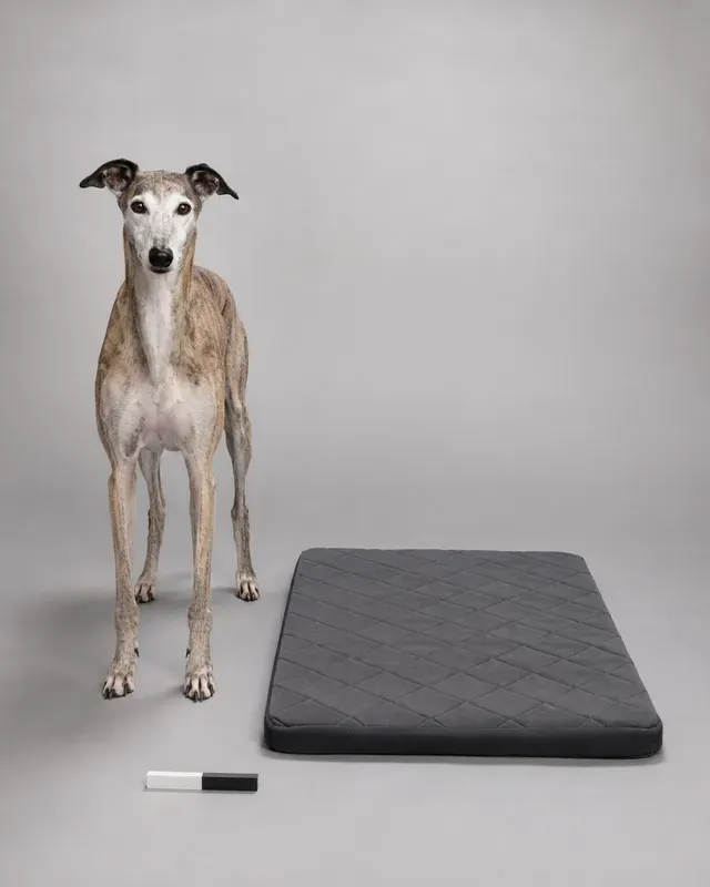 Pet Product Scale Proofs