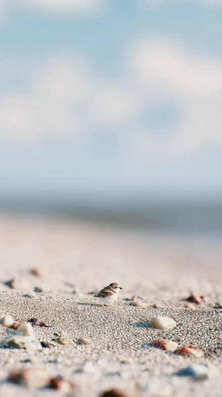 Wallpaper Maker Secret Wildlife Scenes