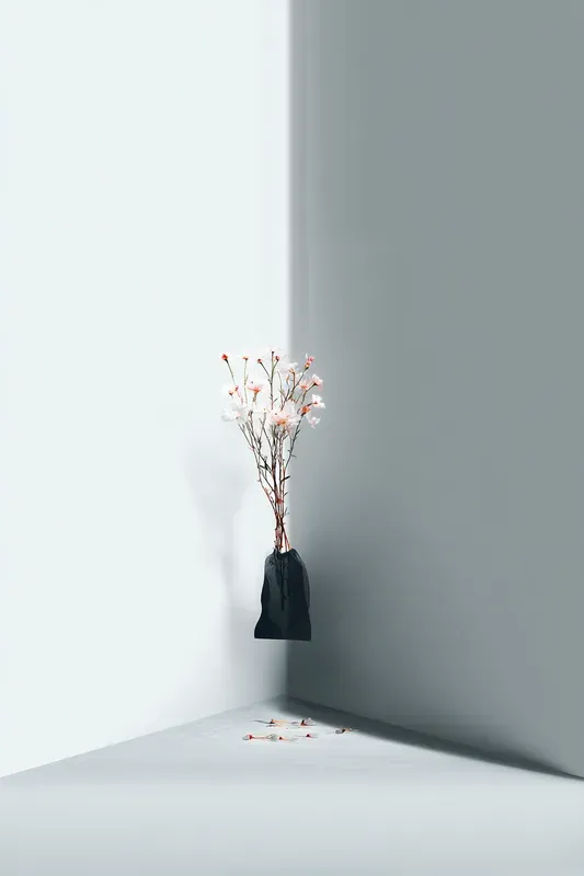 Minimal Symbolic Photography