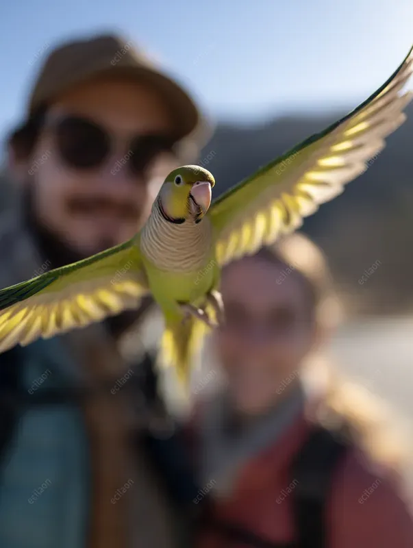 Funny Animal Photobomb Moments