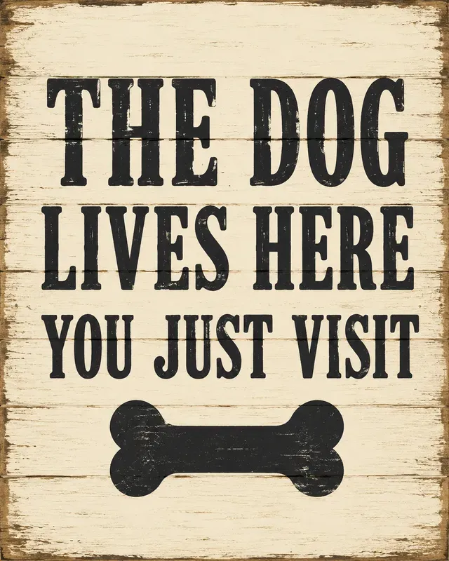 Rustic Dog Humor Signs
