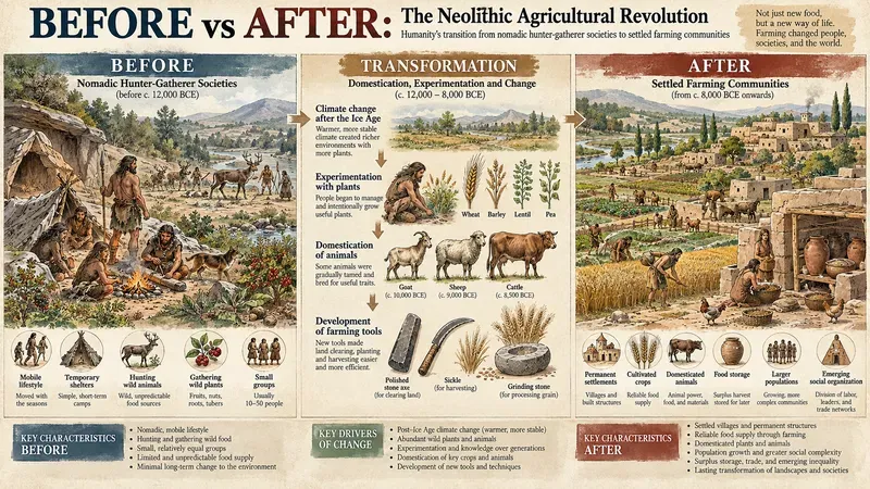 Historical Transformation Visualizers