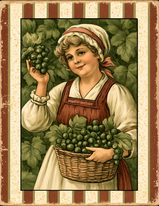 Vintage Italy Illustrations