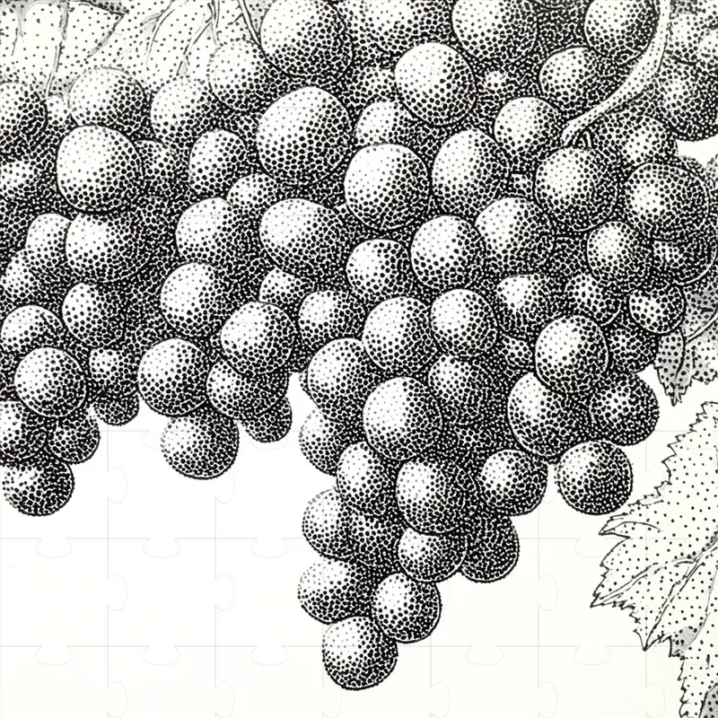 Stippling Art Monochromatic Designs